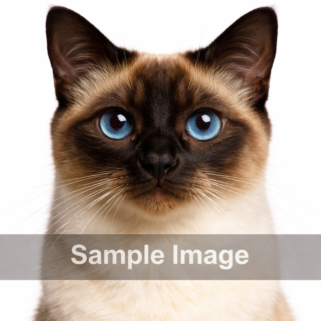 Pet image